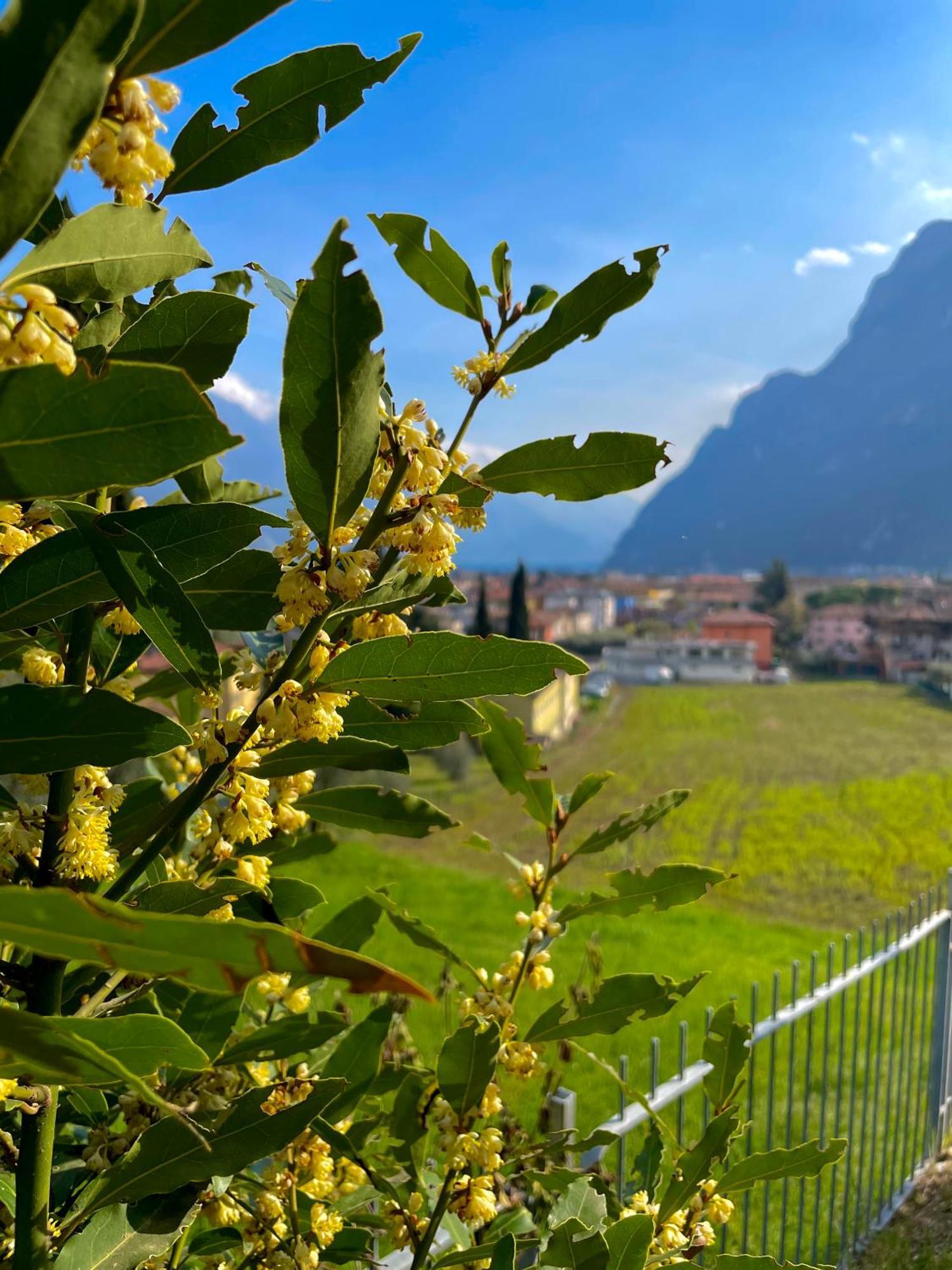 View & Chill Apartment Riva del Garda Exteriér fotografie